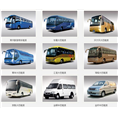 其他商用車市場全景解析 價(jià)格、批發(fā)與采購指南
